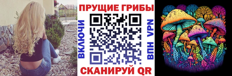 купить наркотик  Пласт  Псилоцибиновые грибы Psilocybe 
